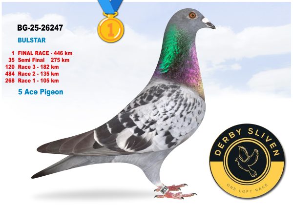 1 place BG-25-26247-BULSTAR