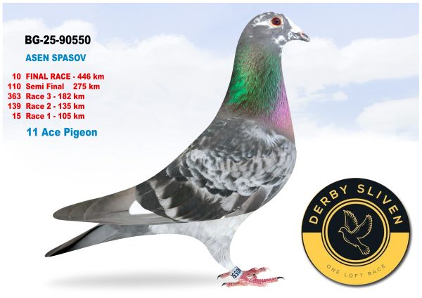 10 place BG-25-90550 – ASEN SPASOV