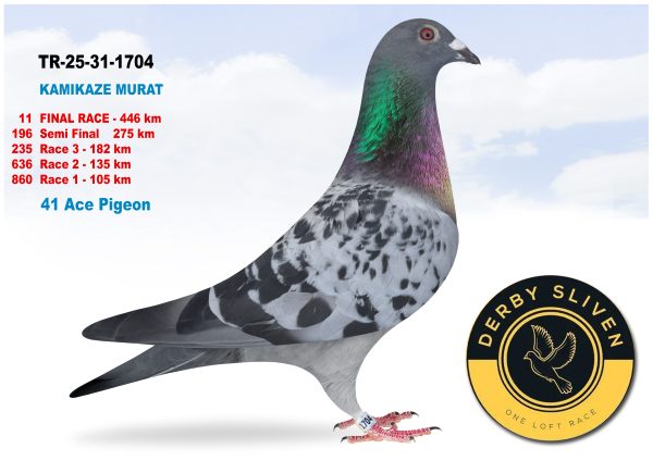 11 place – TR-25-31-1704 – KAMİKAZE MURAT
