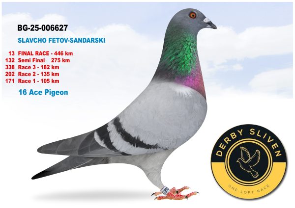 13 place – BG-25-006627 – SLAVCHO FETOV-SANDANSKI
