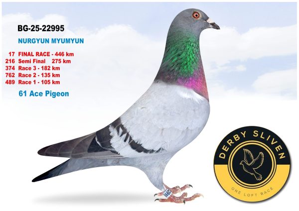 17 place BG-25-22995 – NURGYUN MYUMYUN