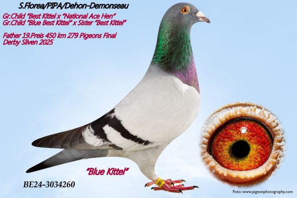 19 place DV-25-02618-257 –  KARL-HEINZ WICHERT - Image 3
