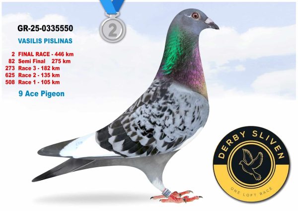 2 place GR-25-0335550 – VASILIS PISLINAS
