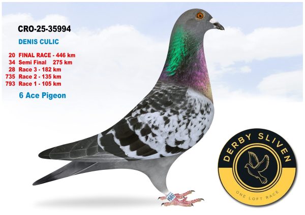20 place- CRO-25-35994 – DENIS CULIC