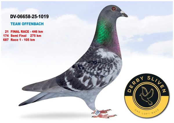 21 place DV-06658-25-1019- TEAM OFFENBACH