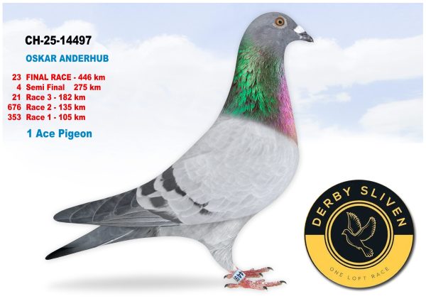 23 place *1 ACE PIGEON* CH-25-14497 -OSKAR ANDERHUB