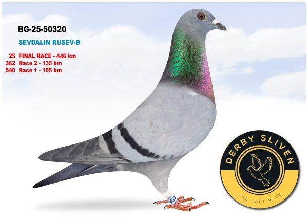 25 place BG-25-50320 –  SEVDALIN RUSEV -B