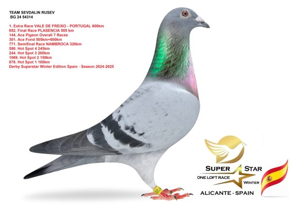 25 place BG-25-50320 –  SEVDALIN RUSEV -B - Image 3