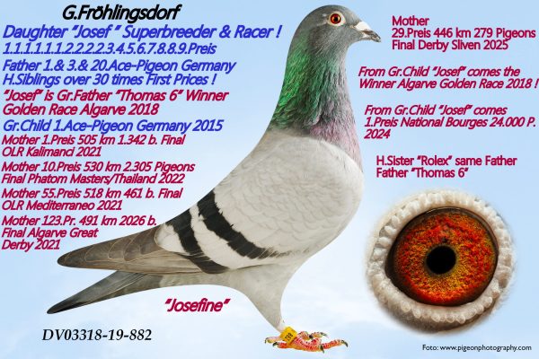 29 place DV-25-02618-242 – KARL-HEINZ WICHERT - Image 4