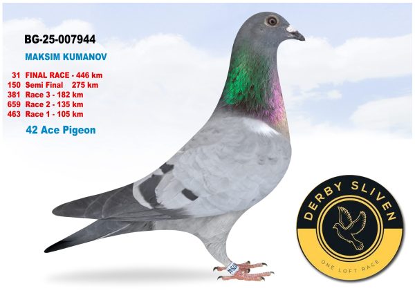 31 place BG-25-007944 MAKSIM KUMANOV
