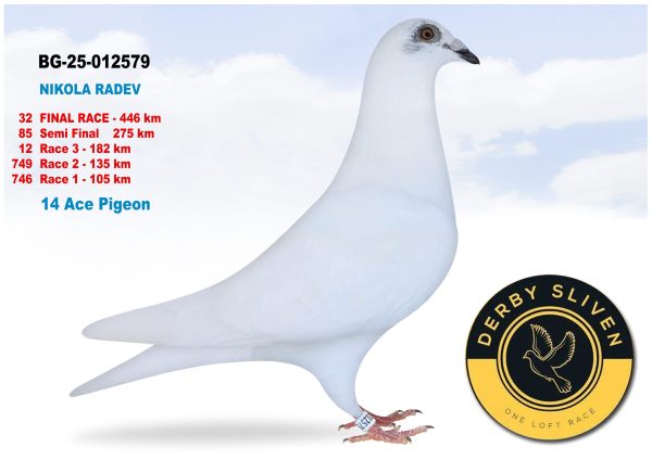 32 place BG-25-012579-NIKOLA RADEV
