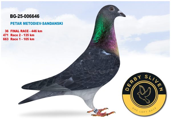 36 place BG-25-006646 –  PETAR METODIEV-SANDANSKI