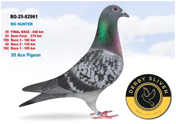 39 place – BG-25-82961 – MG HUNTER