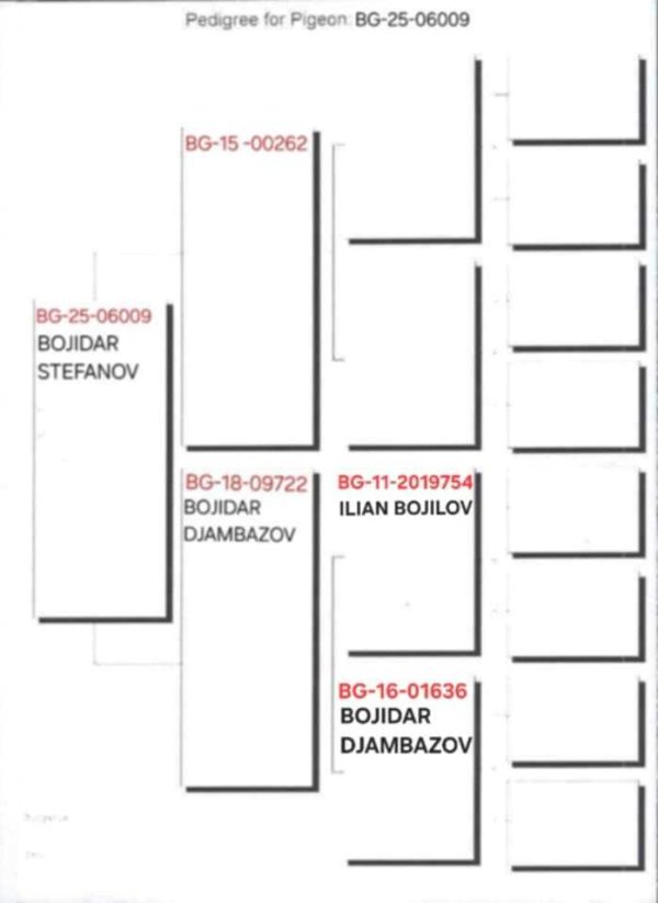 5 place BG-25-06009- BOJIDAR STEFANOV - Image 2
