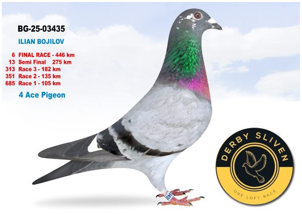 6 place BG-25-03435 – ILIAN BOJILOV