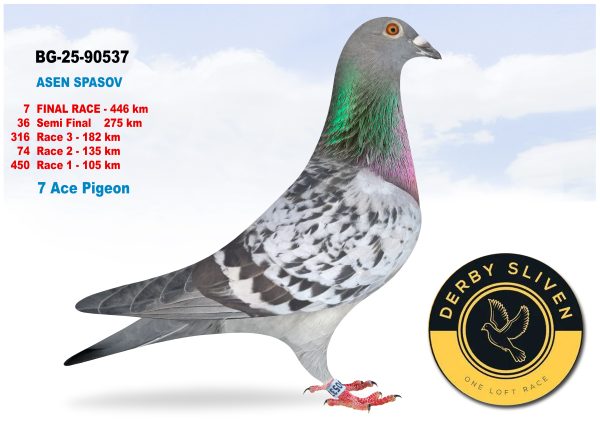 7 place BG-25-90537 – ASEN SPASOV