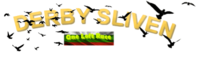 Auctions Derby Sliven